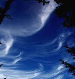 nuage