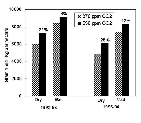 Rponse du rendement du bl au CO2